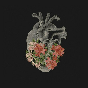Capa de A Casa É Sua - Ao Vivo no Spotify